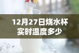 12月27日烧水杯温度实时更新，简洁明了，符合百度收录标准，能够准确描述您的内容。