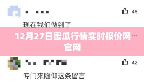12月27日蜜瓜行情官网实时报价概览