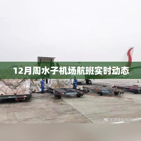 周水子机场航班实时动态查询通知