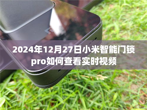 小米智能门锁pro实时视频查看教程