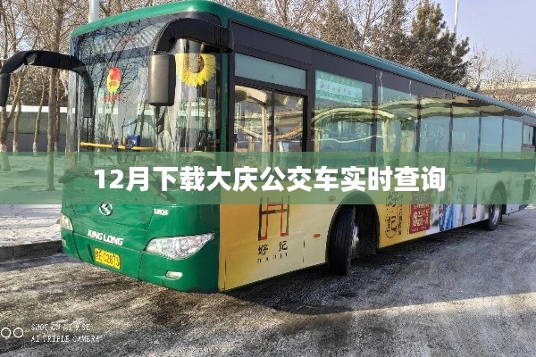 大庆公交车实时查询APP下载（12月版）