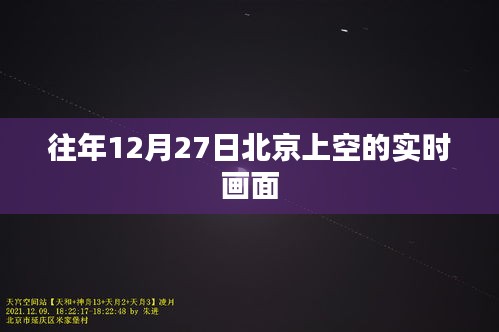 夫妻本是同林鸟 第3页