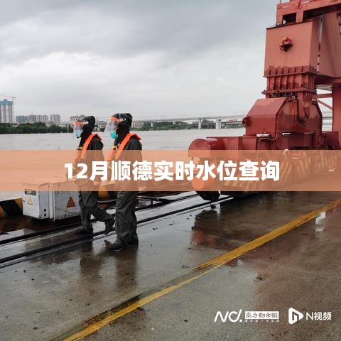 顺德最新实时水位查询数据（附查询指南）