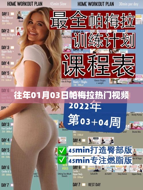 帕梅拉热门视频回顾，历年精选赏析