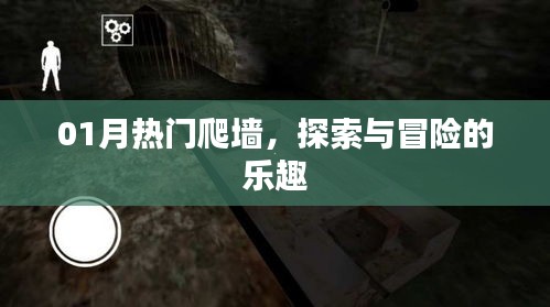 探索与冒险的乐趣，热门爬墙活动