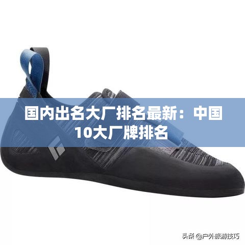 国内出名大厂排名最新：中国10大厂牌排名 