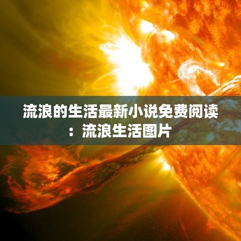 流浪的生活最新小说免费阅读：流浪生活图片 