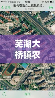 芜湖大桥镇农贸市场位置地图最新：芜湖市大桥镇饭店 