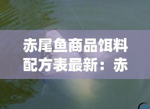 赤尾鱼商品饵料配方表最新：赤尾怎么钓用什么钓最好 
