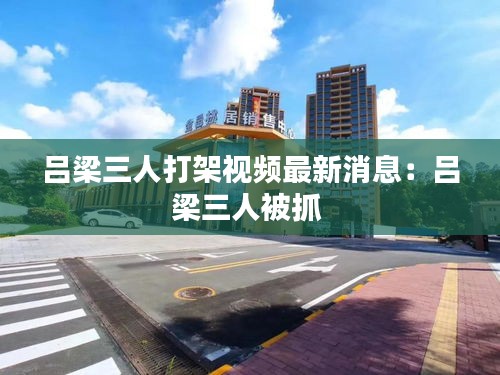 吕梁三人打架视频最新消息：吕梁三人被抓 