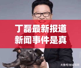 丁磊最新报道新闻事件是真的吗：丁磊百科 