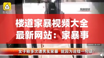 楼道家暴视频大全最新网站：家暴事件视频 