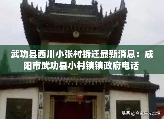 风流潇洒 第3页