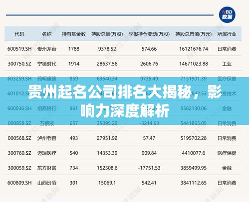 贵州起名公司排名大揭秘，影响力深度解析