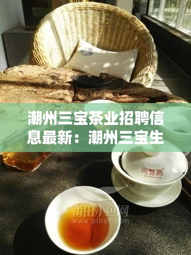 潮州三宝茶业招聘信息最新：潮州三宝生产厂家 