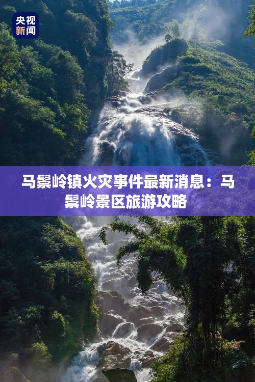 虫言鸟迹 第2页