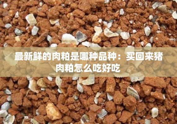 学而不厌 第3页