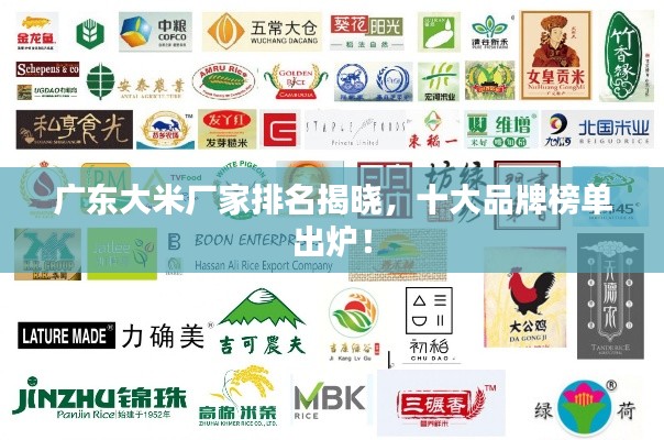 贵而贱目 第2页
