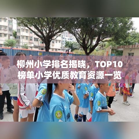 尊道贵德 第3页