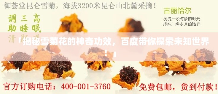 「揭秘雪菊花的神奇功效，百度带你探索未知世界！」