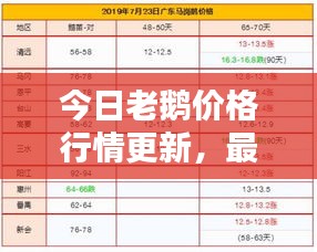 羽扇纶巾 第2页