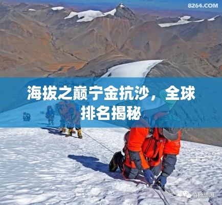 海拔之巅宁金抗沙，全球排名揭秘
