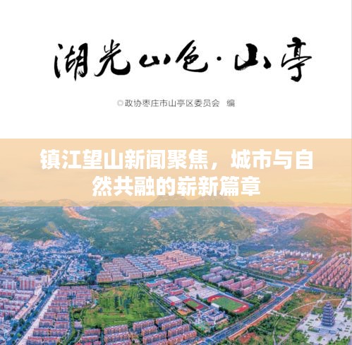 不飞则已 第2页