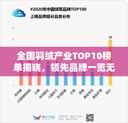 全国羽绒产业TOP10榜单揭晓，领先品牌一览无余