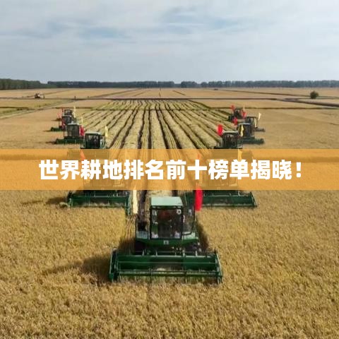 世界耕地排名前十榜单揭晓！
