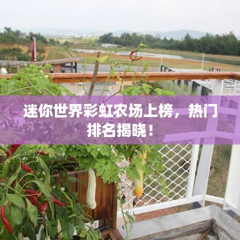 迷你世界彩虹农场上榜，热门排名揭晓！