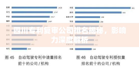 四川专利复审公司排名揭秘，影响力深度解析