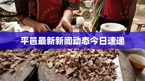 产品知识 第59页