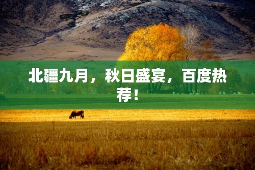 北疆九月，秋日盛宴，百度热荐！