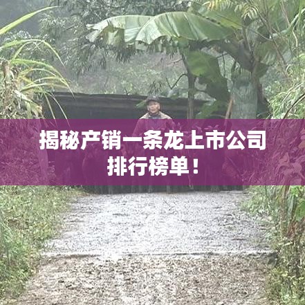 揭秘产销一条龙上市公司排行榜单！