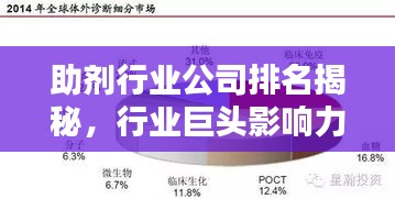 助剂行业公司排名揭秘，行业巨头影响力深度解析