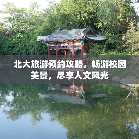 北大旅游预约攻略，畅游校园美景，尽享人文风光
