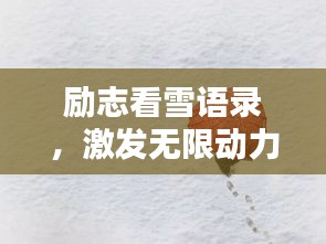 新闻中心 第53页