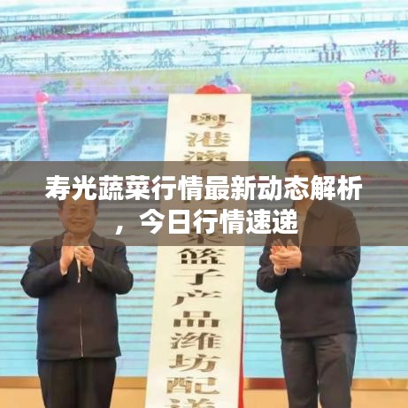 寿光蔬菜行情最新动态解析，今日行情速递
