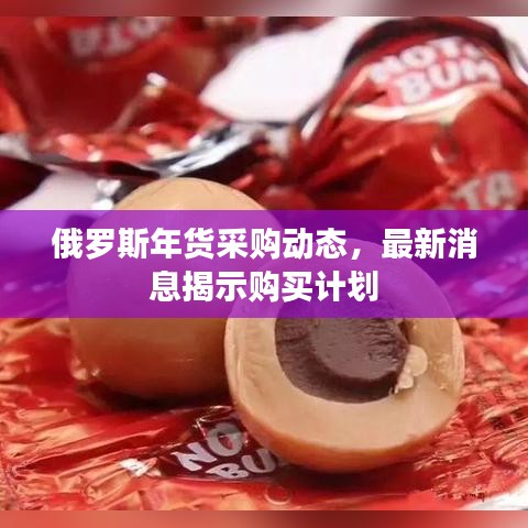 俄罗斯年货采购动态，最新消息揭示购买计划