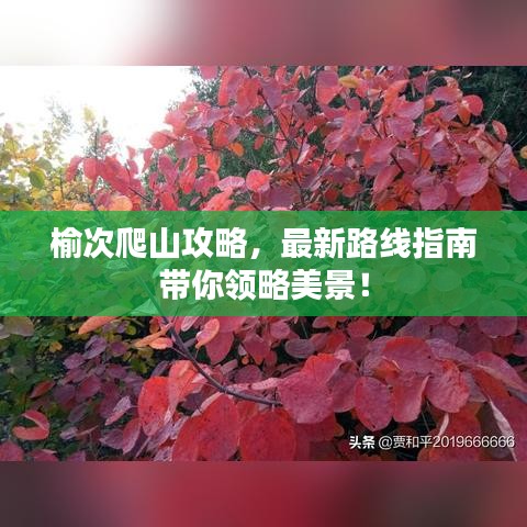 解决方案 第54页