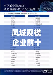 凤城规模企业前十强榜单揭晓，引领地方经济飞跃的强大力量