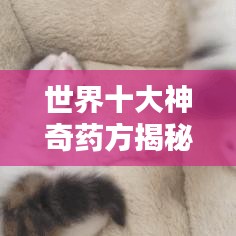 世界十大神奇药方揭秘，你不得不看的治愈传奇！