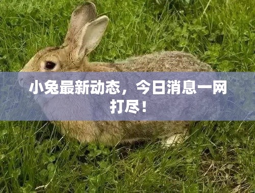 联系我们 第40页