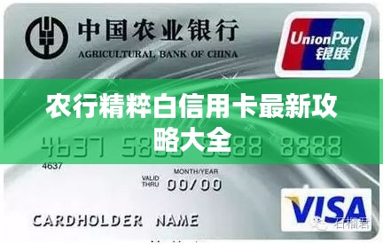 农行精粹白信用卡最新攻略大全