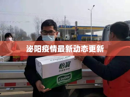 泌阳疫情最新动态更新