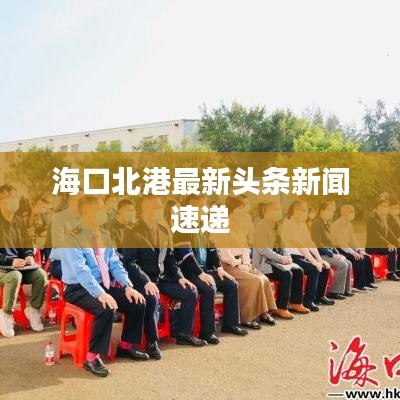 海口北港最新头条新闻速递