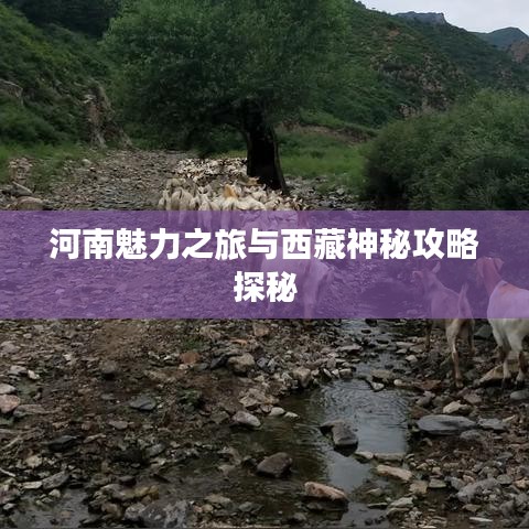 解决方案 第35页