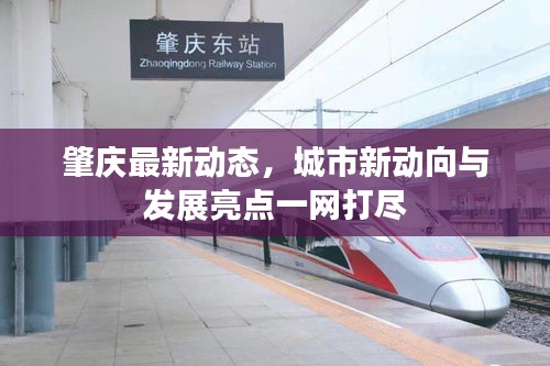 肇庆最新动态，城市新动向与发展亮点一网打尽
