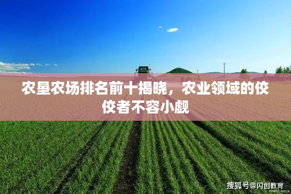 农垦农场排名前十揭晓，农业领域的佼佼者不容小觑