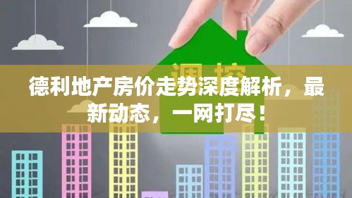 德利地产房价走势深度解析，最新动态，一网打尽！